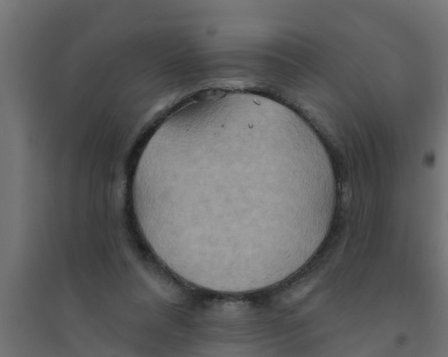 X0000094170304200711241536