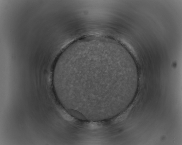 X0000094170305200711241536