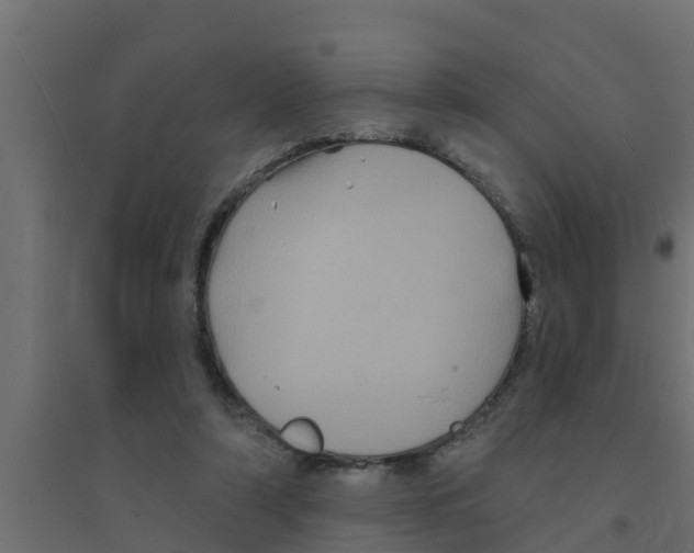 X0000094170306200711241536