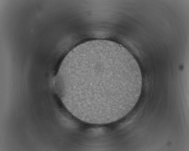 X0000094170307200711241536