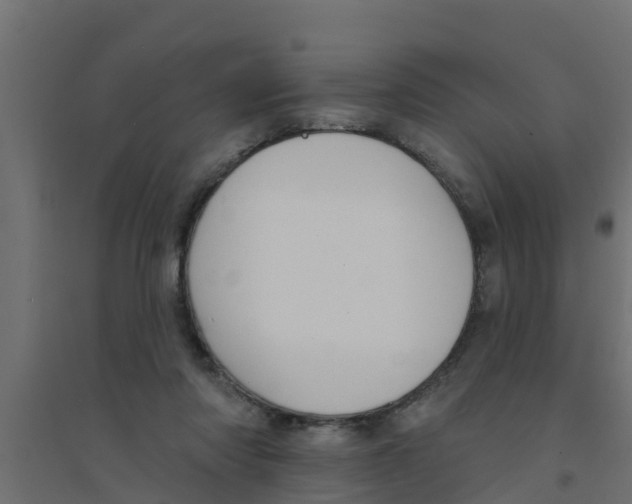 X0000094170310200711241536