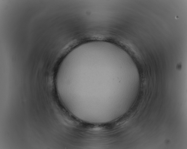 X0000094170312200711241536