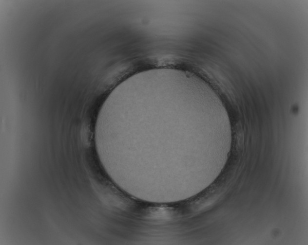 X0000094170316200711241536