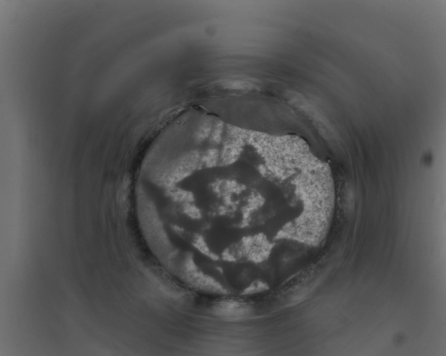 X0000094170319200711241536