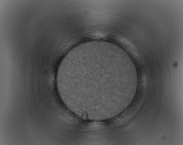 X0000094170320200711241536