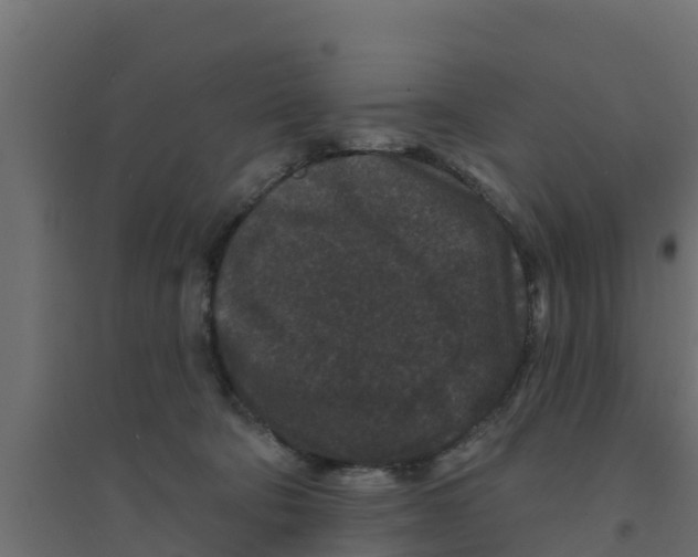 X0000094170322200711241536