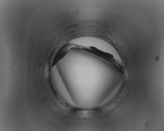 X0000094170323200711241536