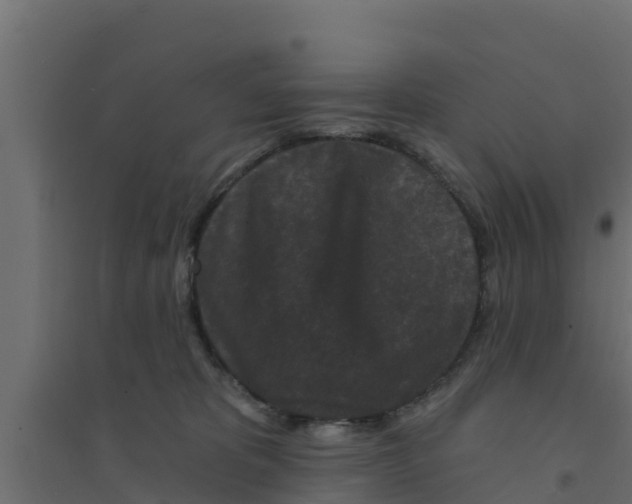 X0000094170325200711241536