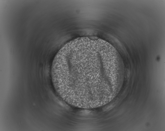 X0000094170326200711241536