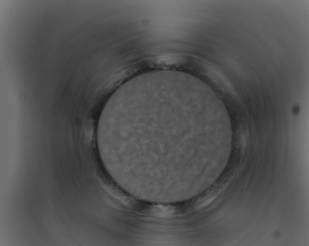 X0000094170328200711241536