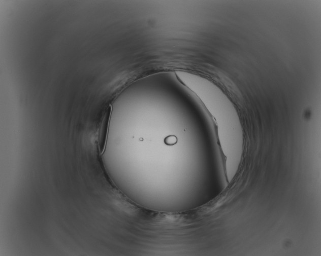 X0000094170329200711241536