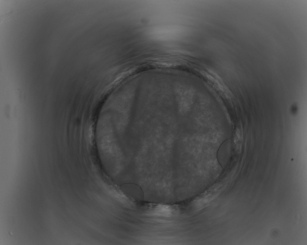 X0000094170330200711241536