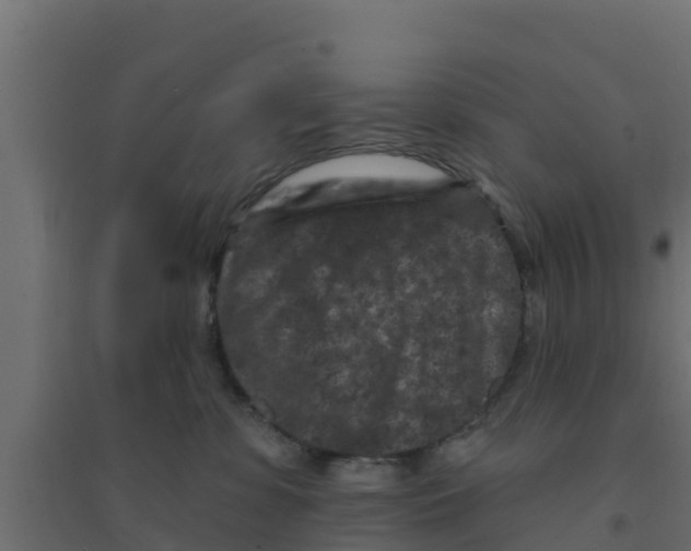 X0000094170331200711241536