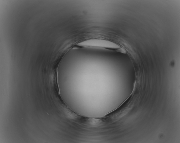 X0000094170333200711241535