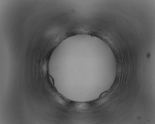 X0000094170334200711241535