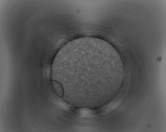 X0000094170336200711241535