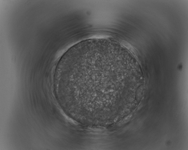 X0000094170337200711241535