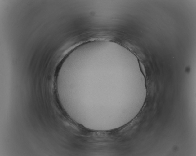 X0000094170338200711241535