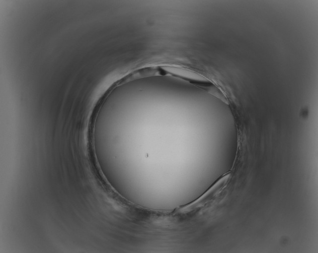 X0000094170340200711241535