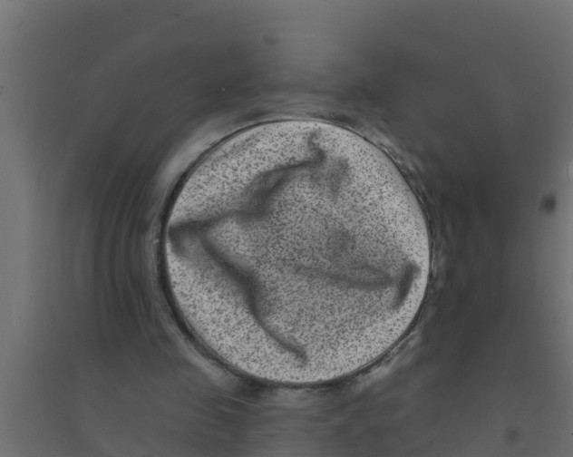 X0000094170341200711241535