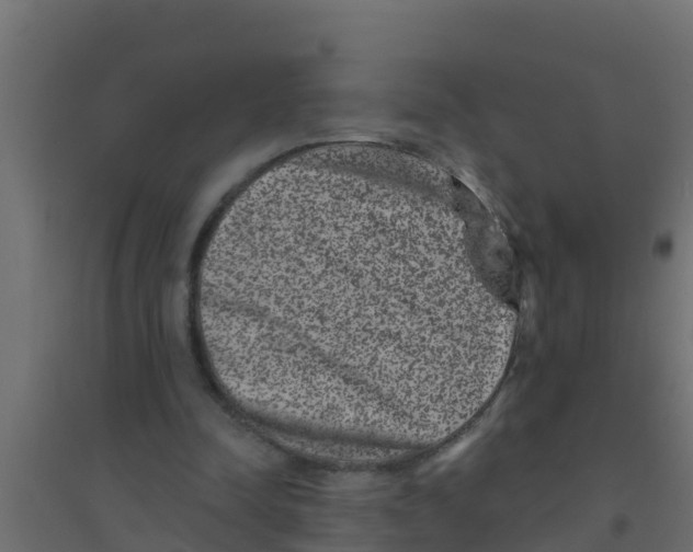X0000094170342200711241535