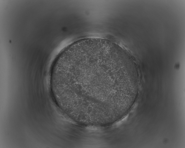 X0000094170343200711241535