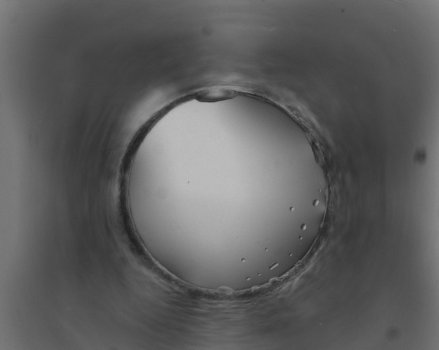 X0000094170344200711241535