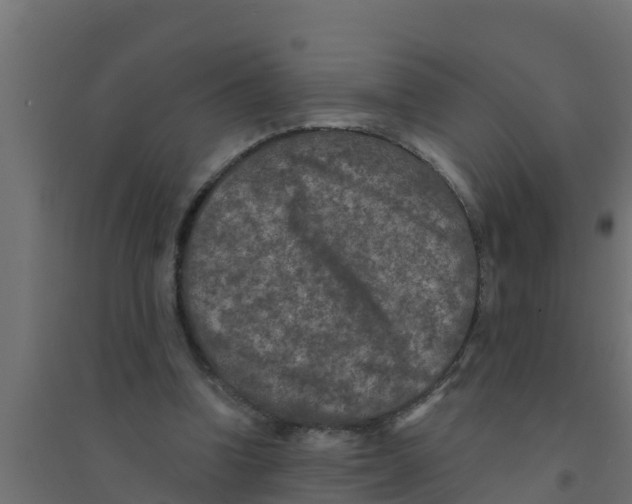 X0000094170346200711241535