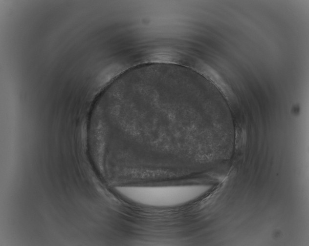 X0000094170349200711241535