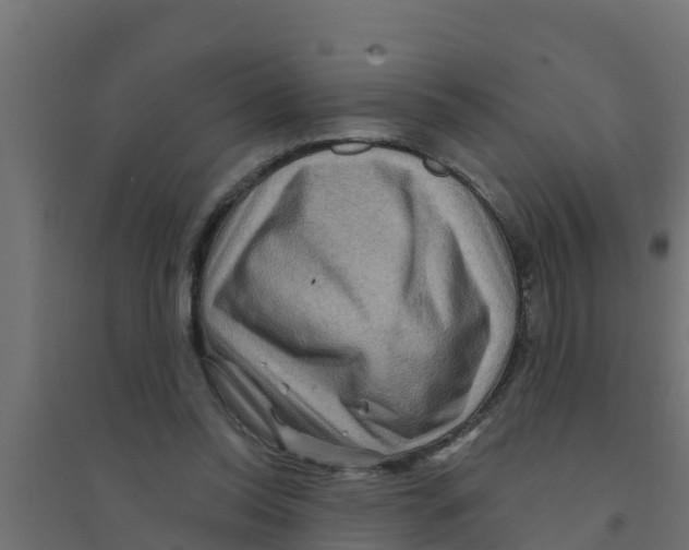 X0000094170350200711241535