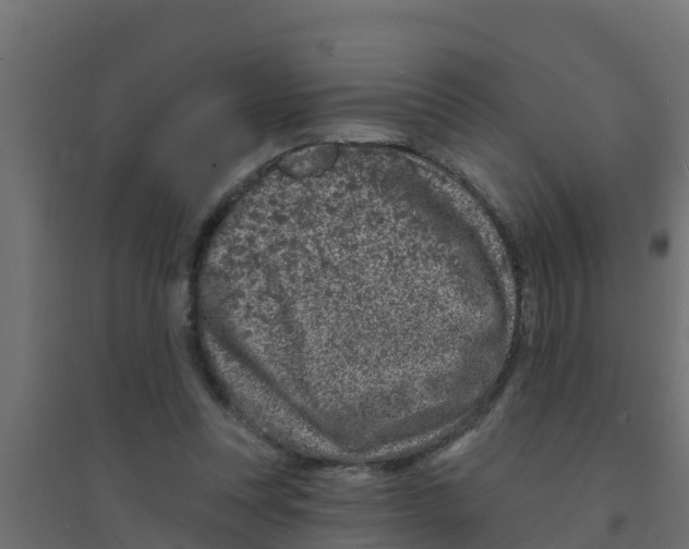 X0000094170351200711241535