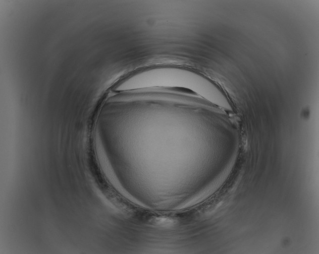 X0000094170352200711241535