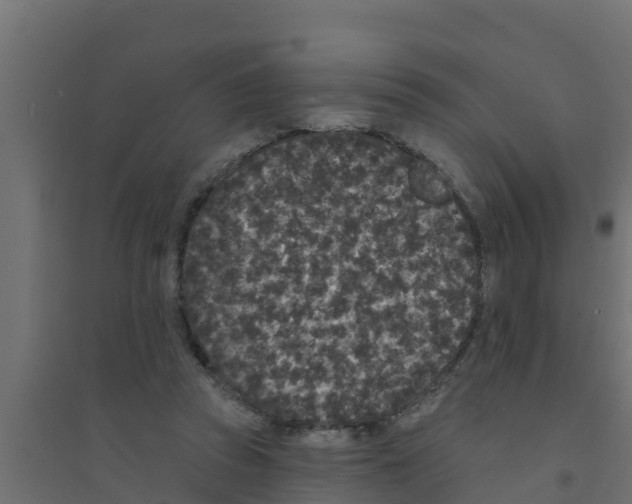 X0000094170353200711241535