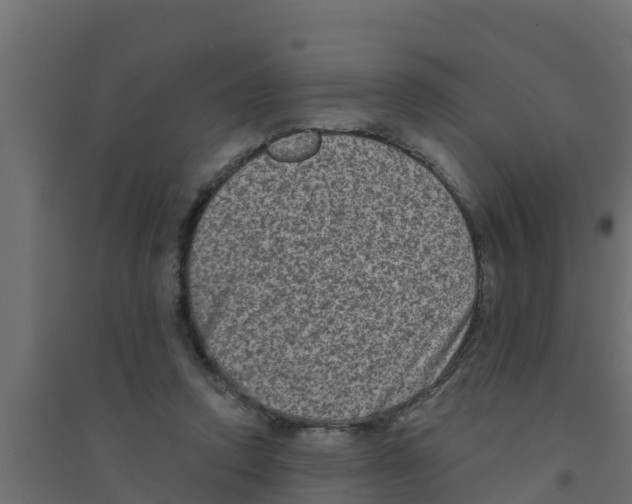 X0000094170354200711241535