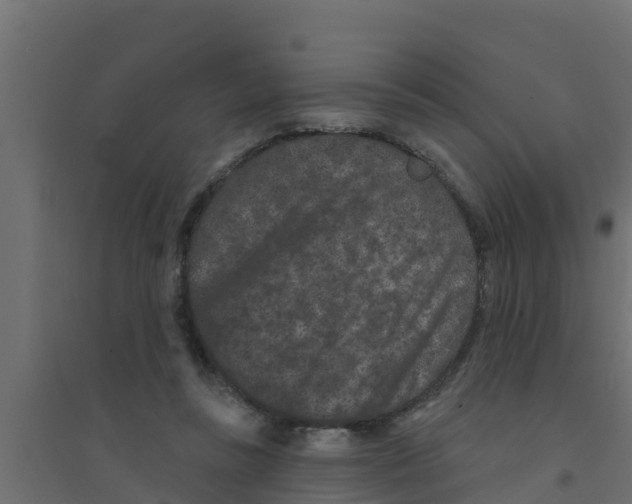 X0000094170355200711241535