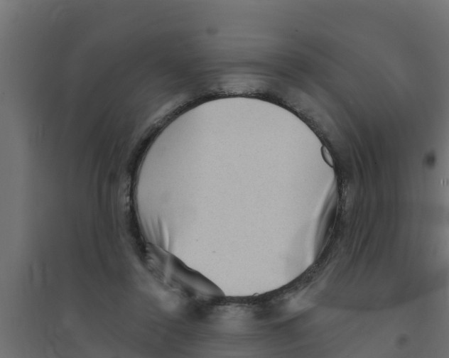 X0000094170356200711241535