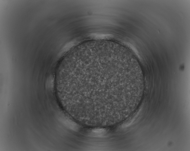X0000094170357200711241535