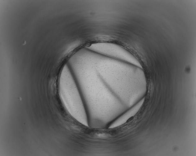 X0000094170360200711241535