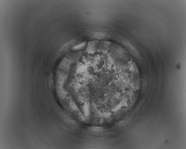 X0000094170361200711241535