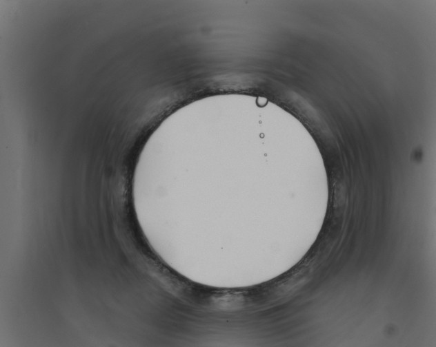X0000094170362200711241535
