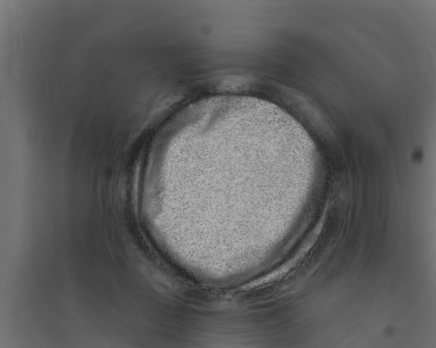 X0000094170363200711241535