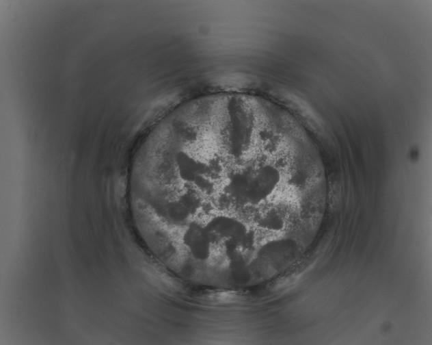X0000094170365200711241535