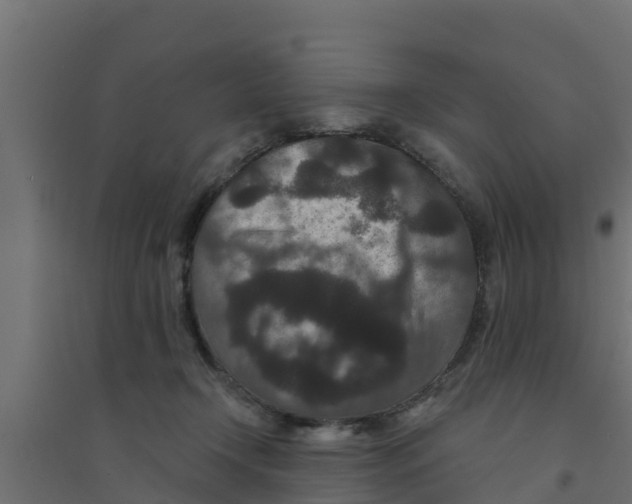 X0000094170366200711241535