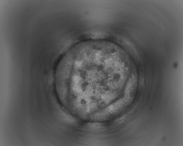 X0000094170367200711241535