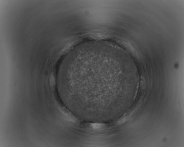 X0000094170371200711241535