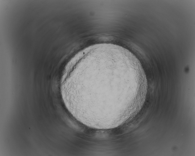 X0000094170373200711241535
