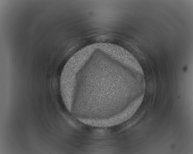 X0000094170375200711241535