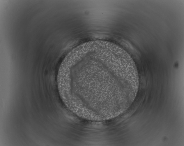 X0000094170377200711241535