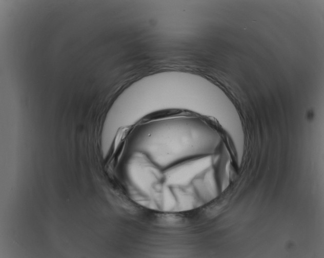 X0000094170380200711241535