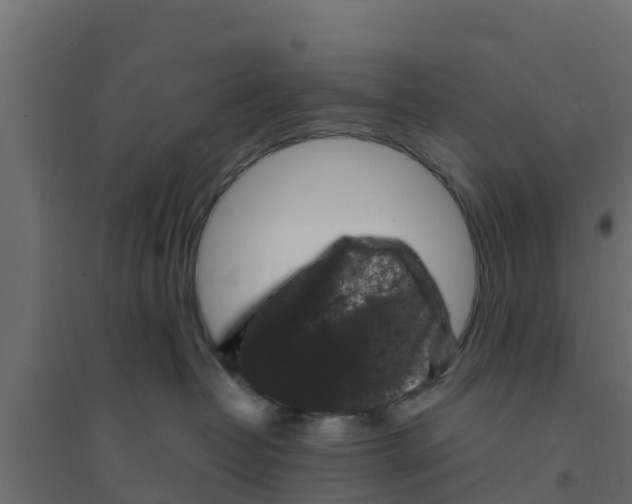 X0000094170382200711241535